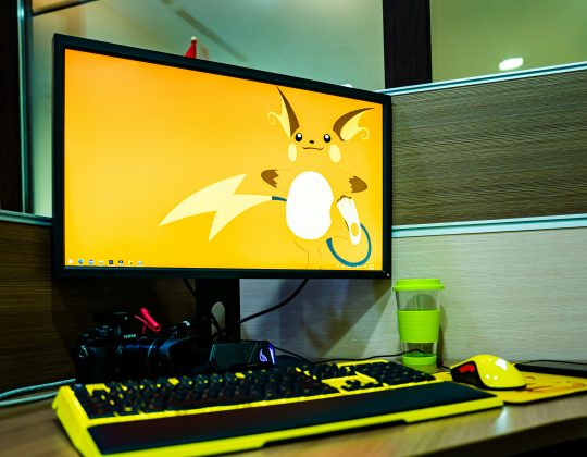 Diversifying Income Streams: The Financial Security of Earning Crypto Coins While Gaming