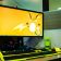 Diversifying Income Streams: The Financial Security of Earning Crypto Coins While Gaming