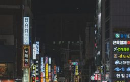 AEO: Tools and Startups Shaping the Future of Search
