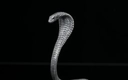 Weather API Not Returning Data? Here’s the Fix