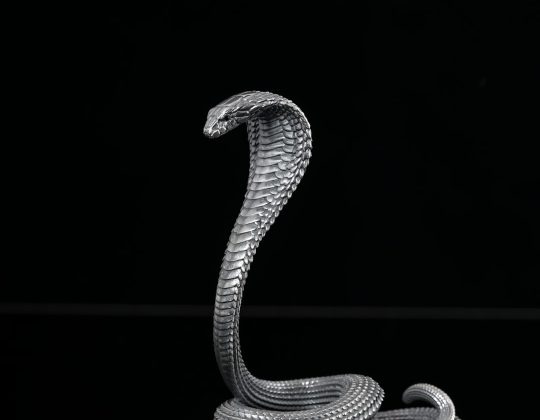 Weather API Not Returning Data? Here’s the Fix