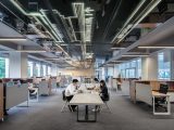 SEO for Business Growth: Insights from Garage2Global