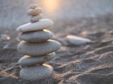 How to Read a Balance Sheet: A Practical Guide