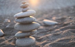 How to Read a Balance Sheet: A Practical Guide