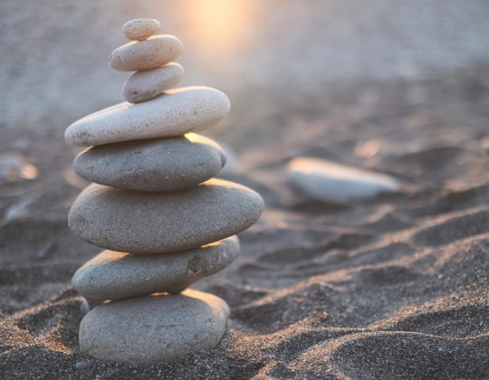 How to Read a Balance Sheet: A Practical Guide