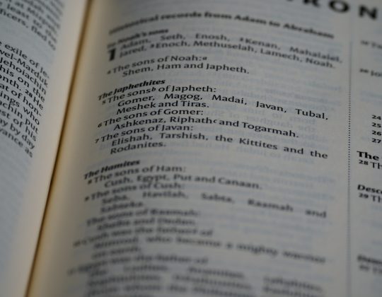AI Translation Services Review: Features, Benefits, and Choosing the Right Provider