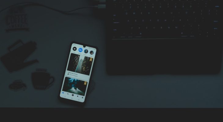 BearVPN Review: Features, Privacy, Pricing, and Alternatives