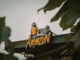 How can sellers leverage Amazon PPC during peak shopping seasons?