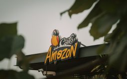 How can sellers leverage Amazon PPC during peak shopping seasons?
