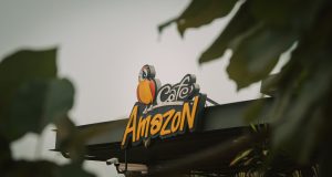 How can sellers leverage Amazon PPC during peak shopping seasons?
