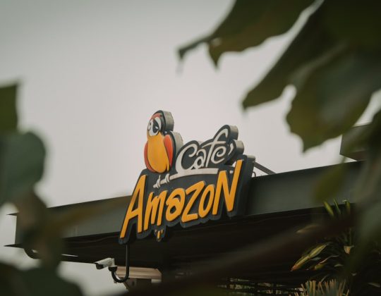How can sellers leverage Amazon PPC during peak shopping seasons?