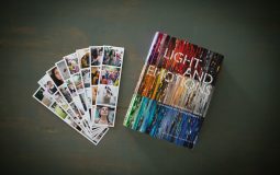 When the Logo Widget stopped showing retina images and the srcset fallback I used to restore crisp logos on high-DPI screens