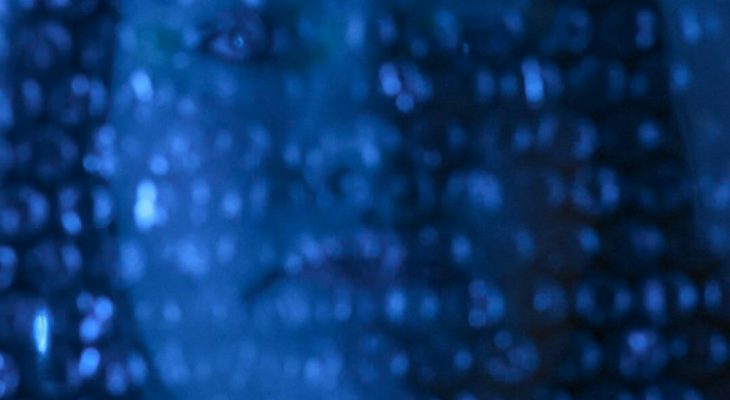 Top Google Cloud Encryption Features Every U.S. Organization Needs to Know About