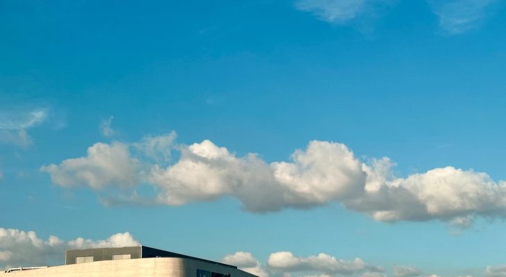 EKG Tech Career Path: Essential Skills and Job Market Analysis