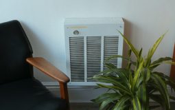 Kenmore Air Purifier Review: Best for Pet Allergies?