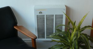 Kenmore Air Purifier Review: Best for Pet Allergies?