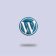 WordPress Speed Optimization Guide (2025 Edition)