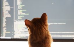 How to Choose the Best AI Platform for Coding to Boost Your Productivity