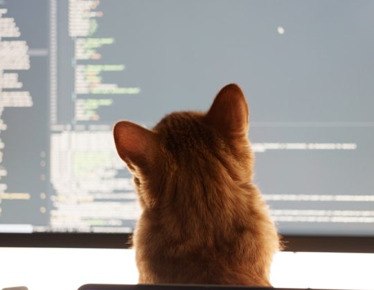 How to Choose the Best AI Platform for Coding to Boost Your Productivity