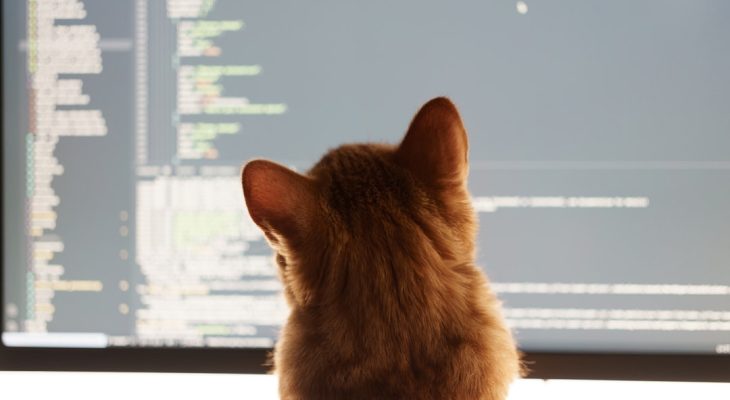 How to Choose the Best AI Platform for Coding to Boost Your Productivity