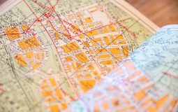 AI Overviews Survival Kit: How to Earn Clicks Post-SGE