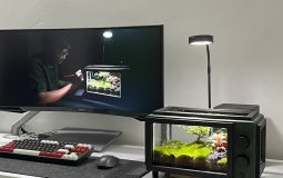 Is 100 Mbps Good for Gaming? Honest Answer for 2025