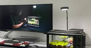 Is 100 Mbps Good for Gaming? Honest Answer for 2025