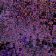 OpenGL 1282 in Creative Suites: Shader State & Context Mismatch Fixes
