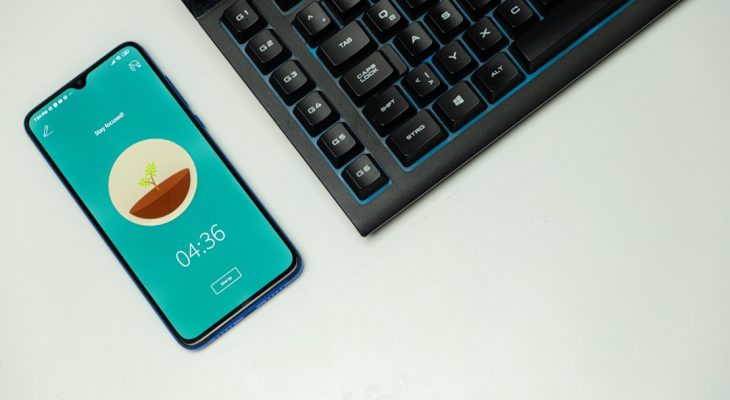 Anonymous Instagram Reel Viewer Tools Worth Trying