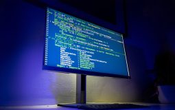 How To Hire WordPress Plugin Developers Without Accidentally Getting a Wizard (Or a Disaster)