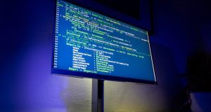 How To Hire WordPress Plugin Developers Without Accidentally Getting a Wizard (Or a Disaster)
