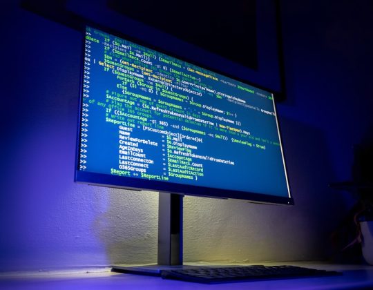 How To Hire WordPress Plugin Developers Without Accidentally Getting a Wizard (Or a Disaster)