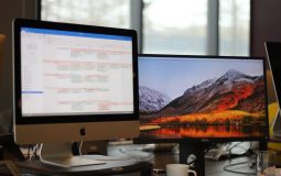 Project Management Apps: Asana vs Monday.com for Managing Business Projects