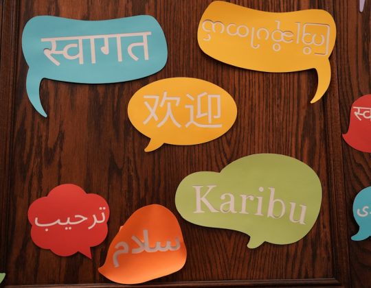 How Many Languages Does Google Translate Support?