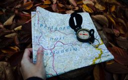 Does Instagram Delete Inactive Accounts? Explained