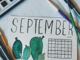 August Newsletter Ideas: Mailchimp vs beehiiv for August Newsletter Content