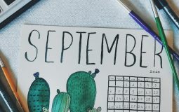 August Newsletter Ideas: Mailchimp vs beehiiv for August Newsletter Content