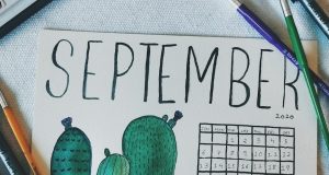 August Newsletter Ideas: Mailchimp vs beehiiv for August Newsletter Content
