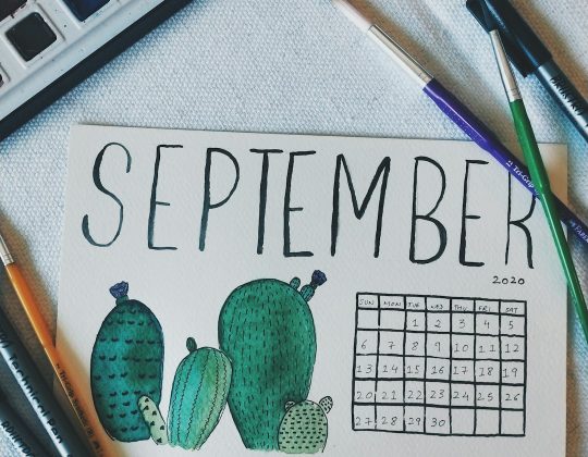 August Newsletter Ideas: Mailchimp vs beehiiv for August Newsletter Content