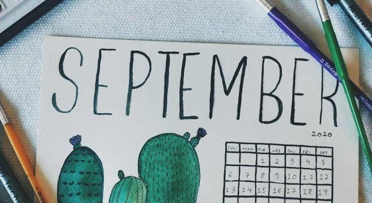 August Newsletter Ideas: Mailchimp vs beehiiv for August Newsletter Content
