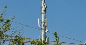 What Is a Wireless Access Point (WAP)?