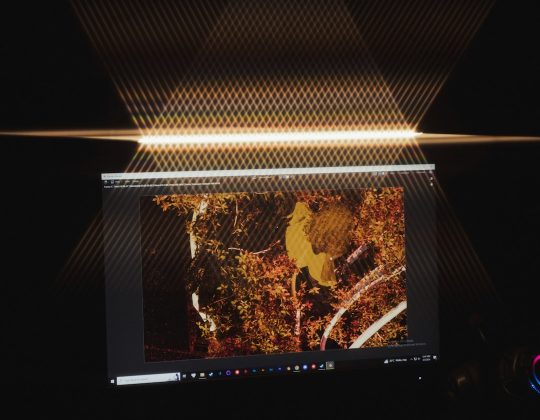 Who Can Learn Light Screen in Cobblemon?