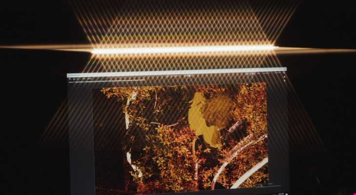 Who Can Learn Light Screen in Cobblemon?