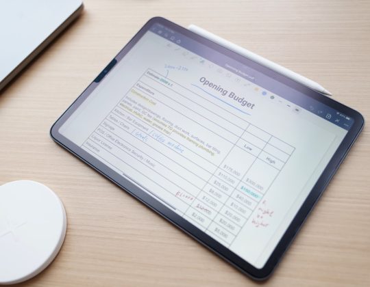 Advanced Web Accessibility Services for Auditing, Remediation, and Ongoing Monitoring