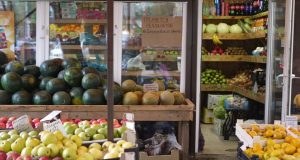 Does Food Lion Take Apple Pay in 2026?