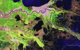 Best 7 Open-Source VPN Tools You Probably Haven’t Tried But Reddit Loves for Privacy & Control (self-hosted VPN, advanced users)