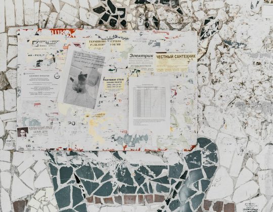 Nerwey: Exploring Its Origins, Meaning, and Importance