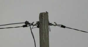 Maximum Supported Bandwidth for Category 5 Cable