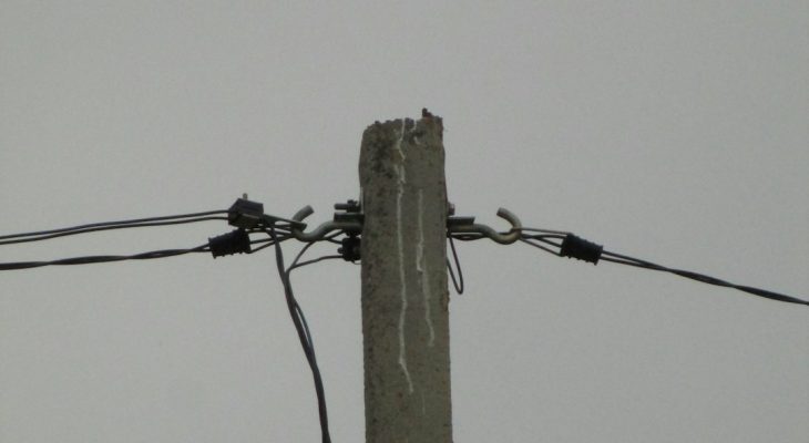 Maximum Supported Bandwidth for Category 5 Cable