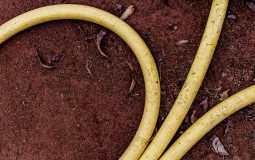 Top Security Services in Dallas for Businesses and Homes